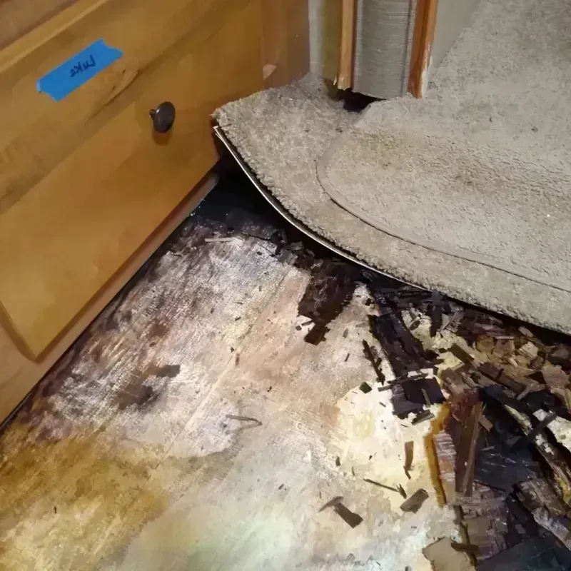 Wood Floor Water Damage in Kendale Lakes, FL